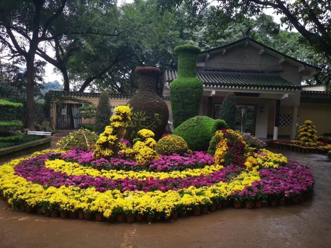 2020年鵝嶺公園秋季菊展項目